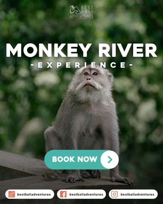 Kemenuh Monkey River Book Now