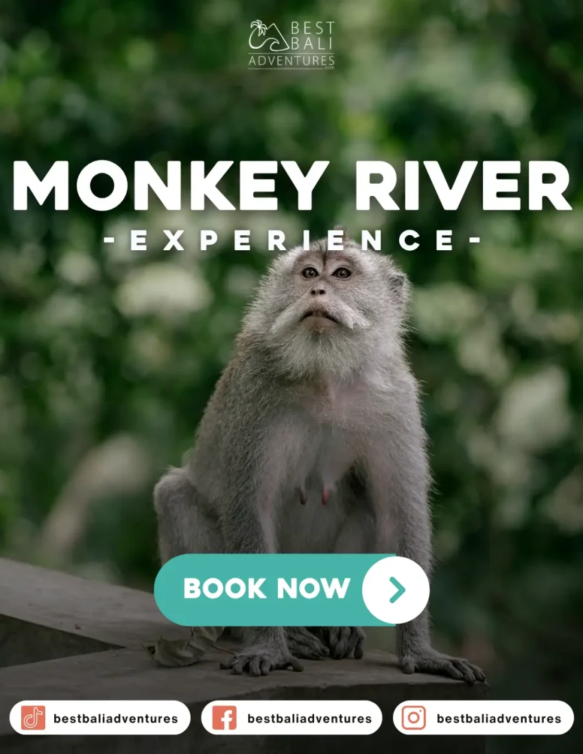 Kemenuh Monkey River Book Now