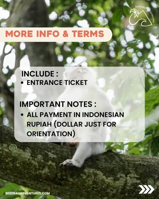 Kemenuh Monkey River Info
