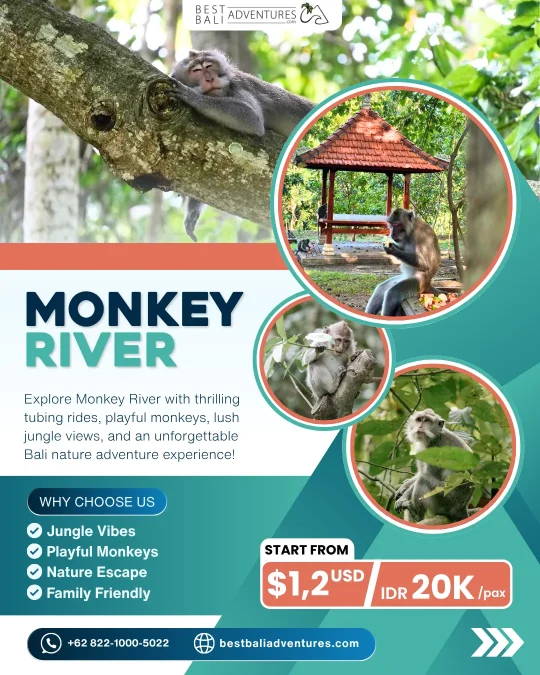 Kemenuh Monkey River Price