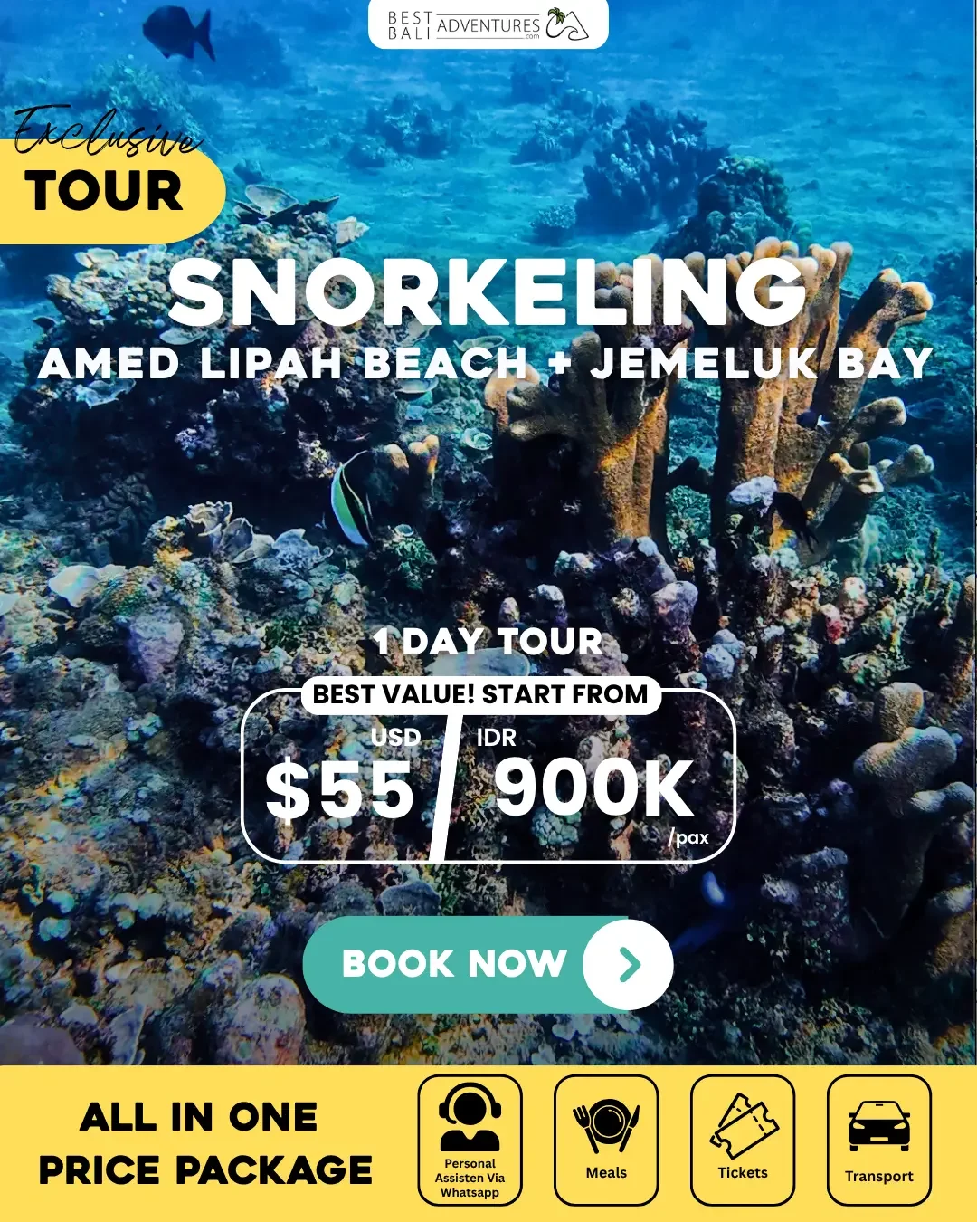 Snorkeling Amed