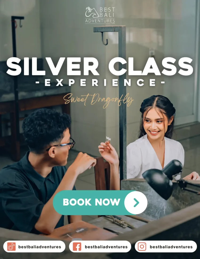Ubud Silver Making Class Sweet Dragon Fly Book Now
