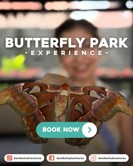 Kemenuh Butterfly Park BaliBook Now