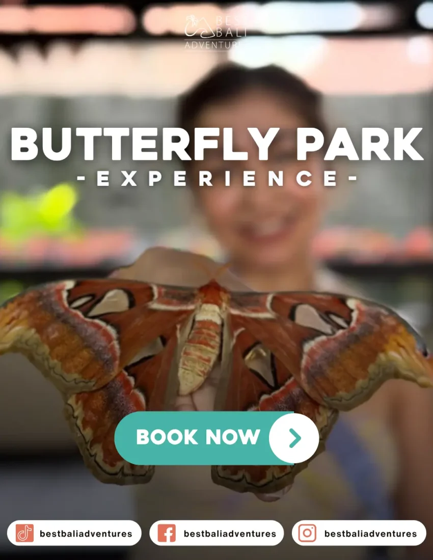 Kemenuh Butterfly Park BaliBook Now