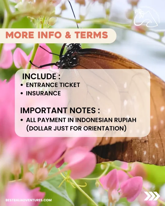 butterfly park bali Info