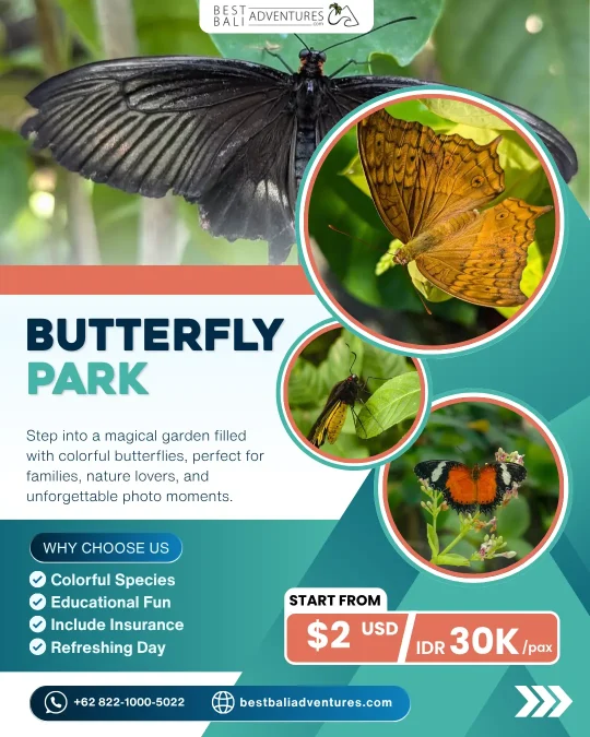 butterfly park bali Price