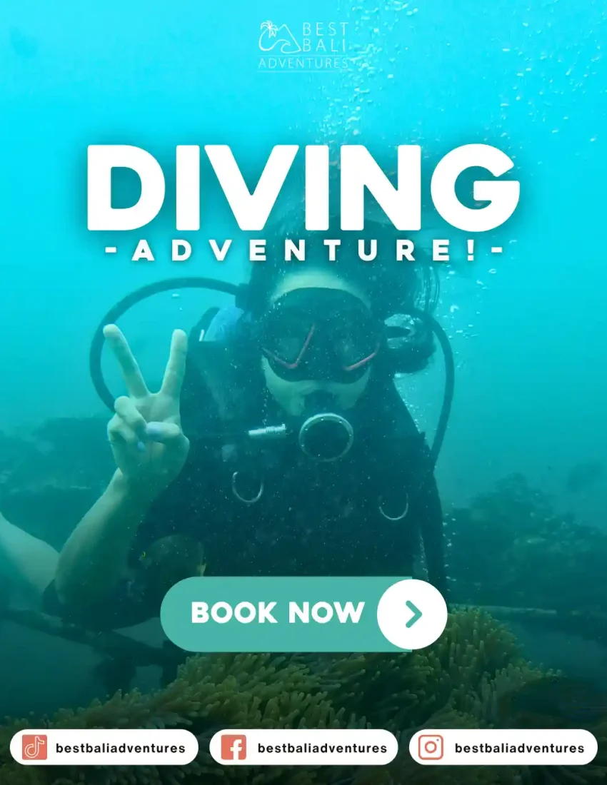 diving bali Book Now