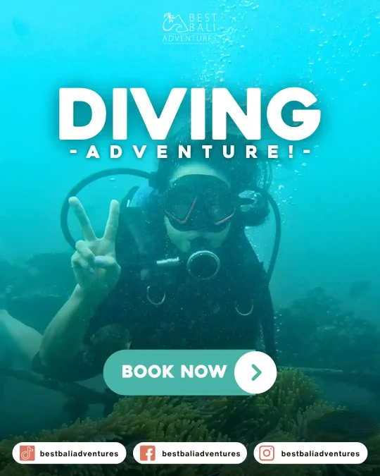 diving bali Book Now