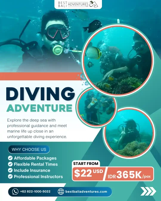 diving bali Price