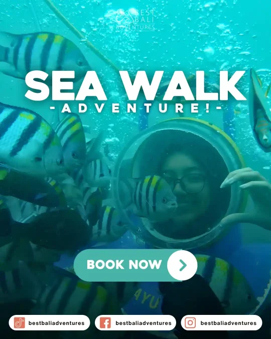 seawalk bali Book Now