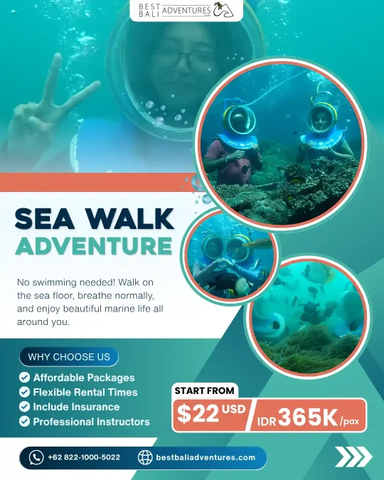 seawalk bali Price