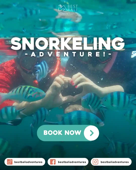 snorkeling bali Book Now