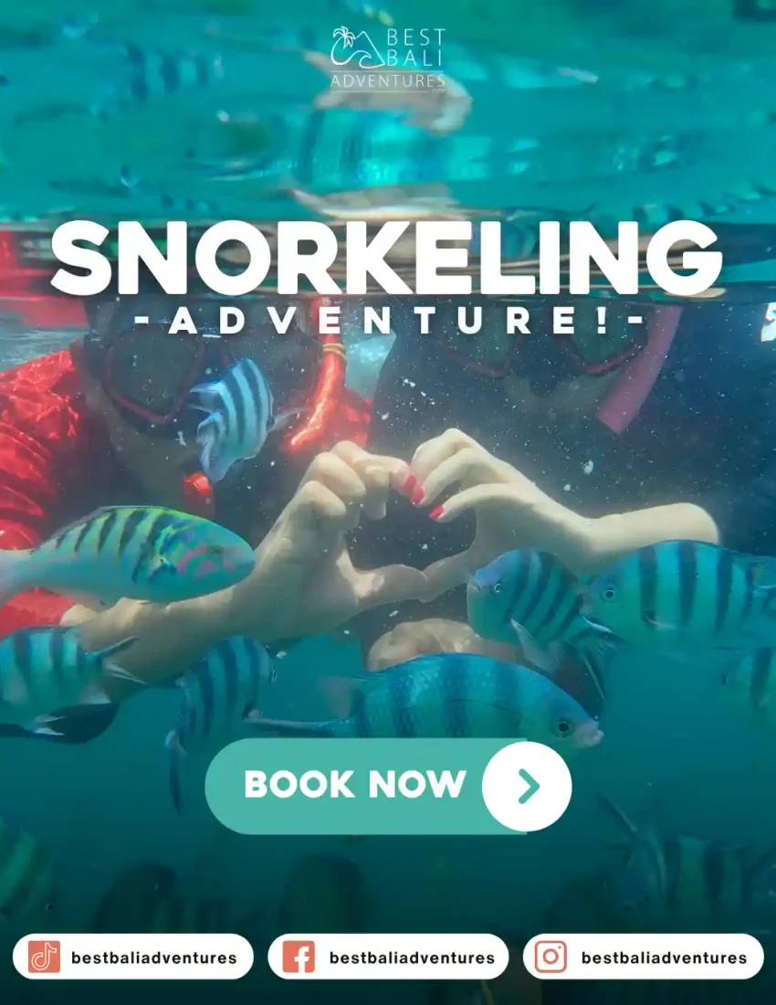 snorkeling bali Book Now