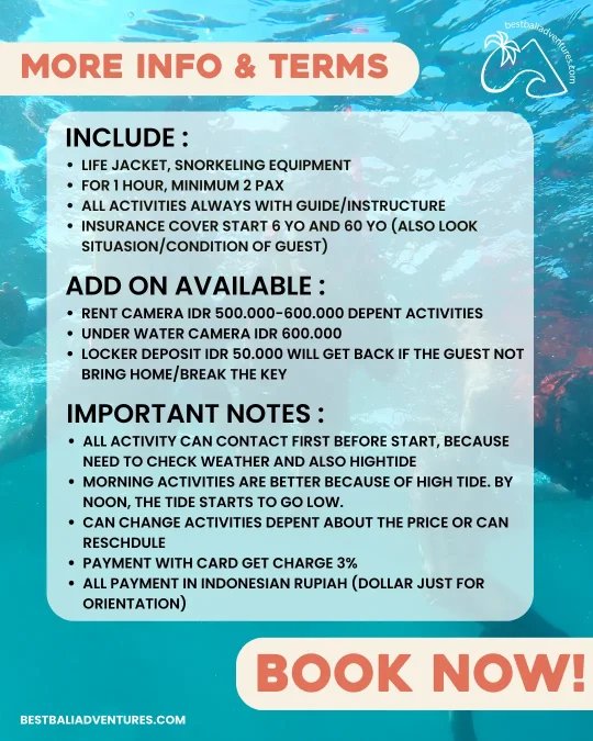 snorkeling bali Info