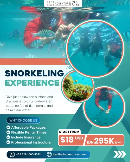 snorkeling bali Price